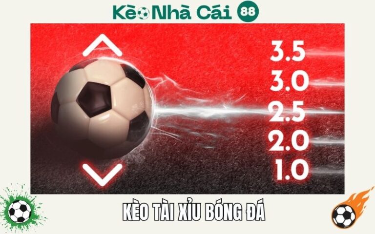 Kèo Tài Xỉu Trong Bóng Đá? Cách Đặt Cược Giúp Người Chơi Hốt Bạc 61 Kèo Tài Xỉu Trong Bóng Đá? Cách Đặt Cược Giúp Người Chơi Hốt Bạc